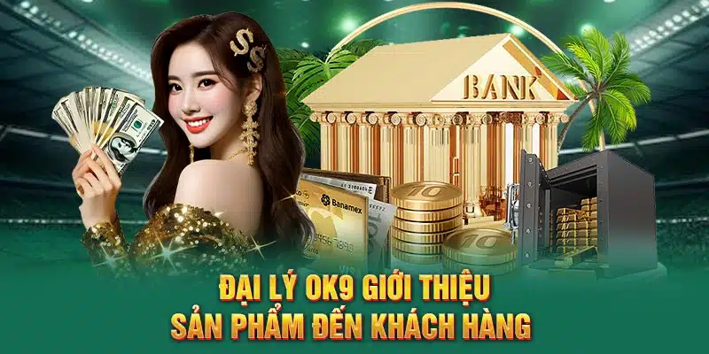 Đại lý OK9 giới thiệu sản phẩm đến khách hàng 
